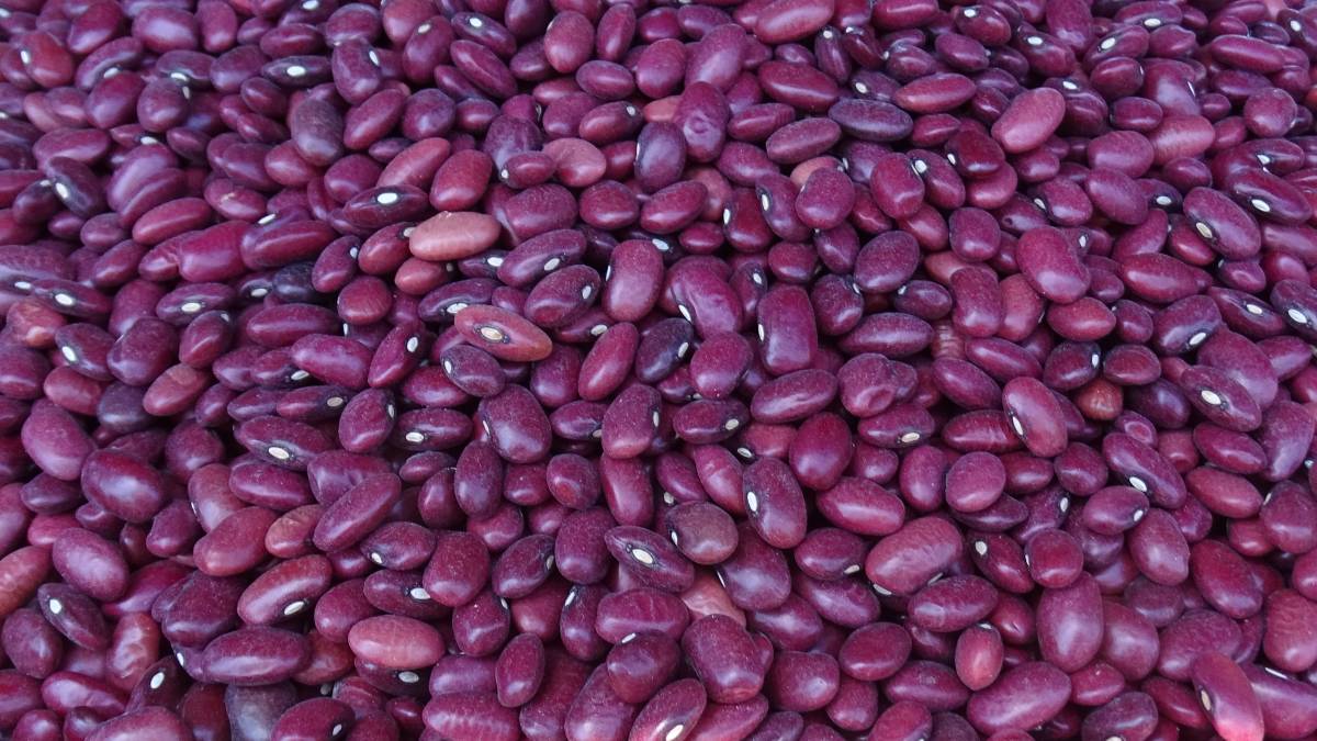 Lobio: Rote Bohnen in Georgien enthalten mehr Stärke als in der EU