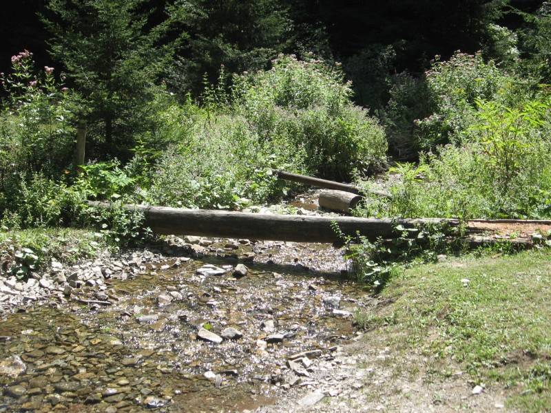 Naturpark Borjomi-Charagauli: Der Weg kreuzt oft einen Fluss - das Schuhwerk sollte wasserfest sein