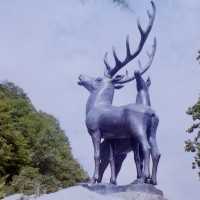 Hirsche am Ortseingang in Pasanauri - Georgische Heerstraße - Festung Ananuri, Stausee, Baden, Sommer, Gudauri - Essen und Trinken, Übernachten, Region der Chinkali - Reisebericht Georgien 2004 Tourismus und Touristen Urlaub Reise Hirsche am Ortseingang in Pasanauri - Georgische Heerstraße - Festung Ananuri, Stausee, Baden, Sommer, Gudauri - Essen und Trinken, Übernachten, Region der Chinkali - Reisebericht Georgien 2004 Tourismus und Touristen Urlaub Reise