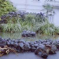 Batumi: Hafenstadt an der georgischen Küste Schwarzes Meer - Baden, Erholung, subtropisches Klima, Sommer, Promenade, Oper, Strand, Sonnenbad, Kultur, Museen, Restaurants, Cafes, Essen und Trinken - Reisebericht Georgien 2005 Tourismus, Touristen, Urlaub Batumi: Hafenstadt an der georgischen Küste Schwarzes Meer - Baden, Erholung, subtropisches Klima, Sommer, Promenade, Oper, Strand, Sonnenbad, Kultur, Museen, Restaurants, Cafes, Essen und Trinken - Reisebericht Georgien 2005 Tourismus, Touristen, Urlaub