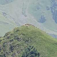 Sameba-Kirche, Heilige Dreifaltigkeit bei Gergeti - Georgische Heerstraße bis Stepanzminda - Reisebericht Thomas Berscheid Georgien 2015 - Festung Ananuri, Kazbegi, Hotel, Berge, Gebirge, Kaukasus, Radtouristen Sameba-Kirche, Heilige Dreifaltigkeit bei Gergeti - Georgische Heerstraße bis Stepanzminda - Reisebericht Thomas Berscheid Georgien 2015 - Festung Ananuri, Kazbegi, Hotel, Berge, Gebirge, Kaukasus, Radtouristen