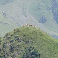 Sameba-Kirche, Heilige Dreifaltigkeit bei Gergeti - Georgische Heerstraße bis Stepanzminda - Reisebericht Thomas Berscheid Georgien 2015 - Festung Ananuri, Kazbegi, Hotel, Berge, Gebirge, Kaukasus, Radtouristen