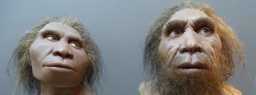 Besuchen Sie Mzia und Seswa im Nationalmuseum am Rustaweli-Prospekt in der Neustadt in Tbilissi - Rekonstruktion des Home Erectus vor 1,77 Mio Jahren in Georgien