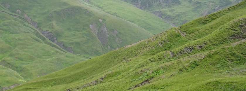 Naturschutzgebiete in Georgien ✔ Vielzahl von Naturlandschaften ✔ Aktivitäten für jeden Geschmack und bevorzugte Urlaubsform